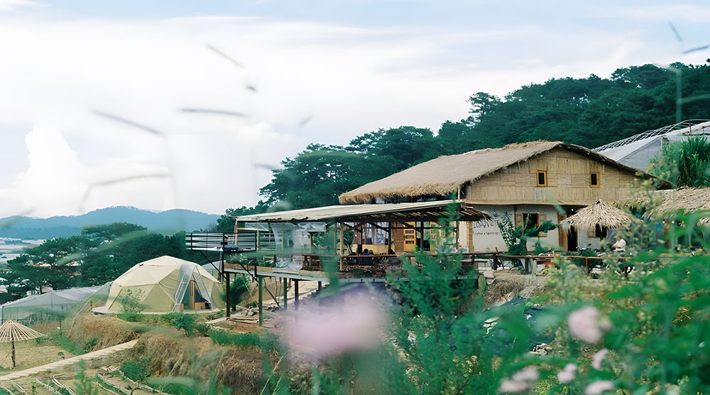 The Organic Life Homestay
