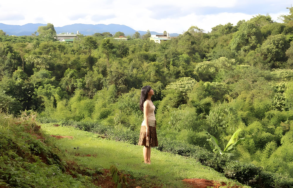 The Organic Life Homestay