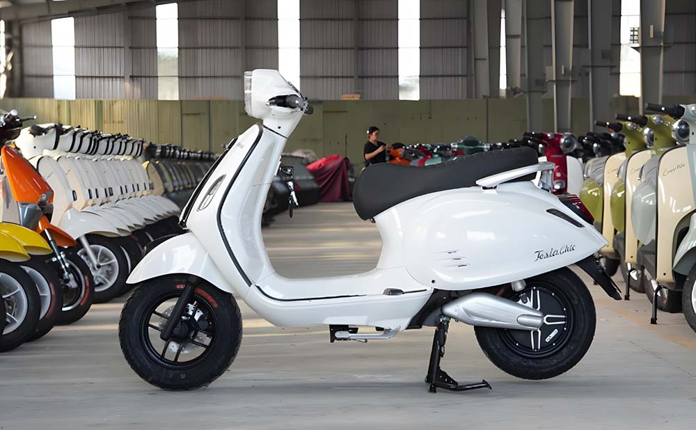 Dibao Tesla Chic 2024