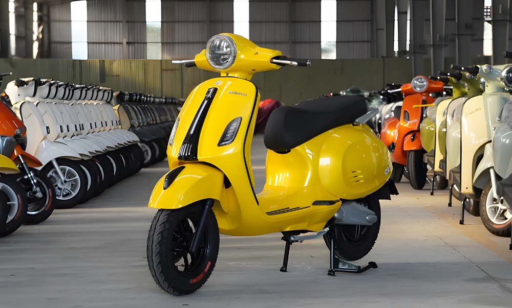 Dibao Tesla Chic 2024