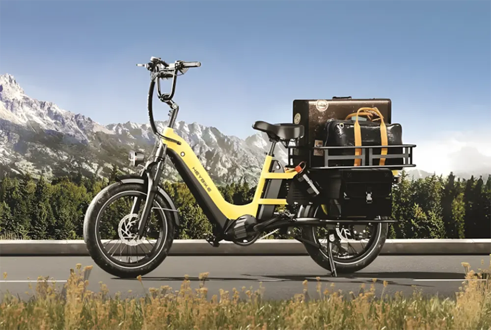 Tổng hợp số kg chở được của các dòng xe đạp điện