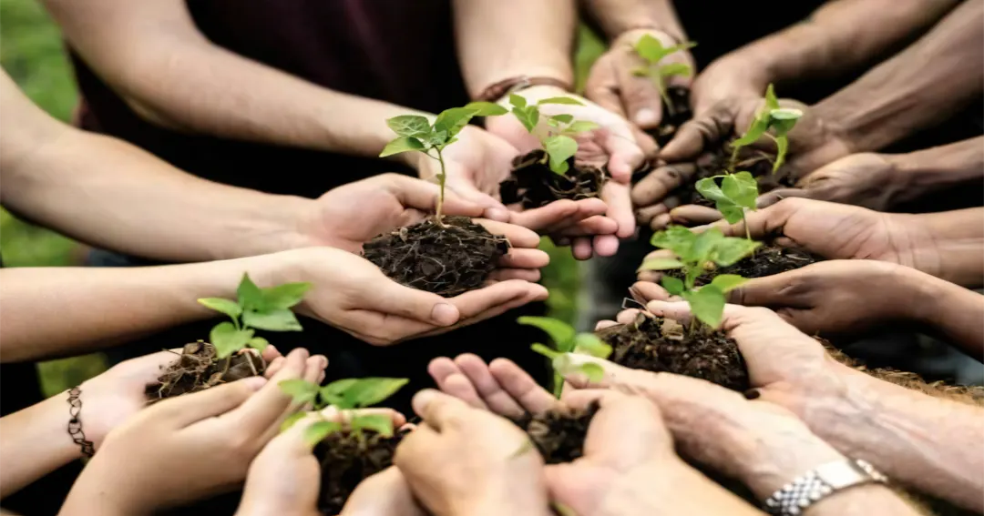 Biện pháp khắc phục ô nhiễm môi trường đáng cân nhắc 