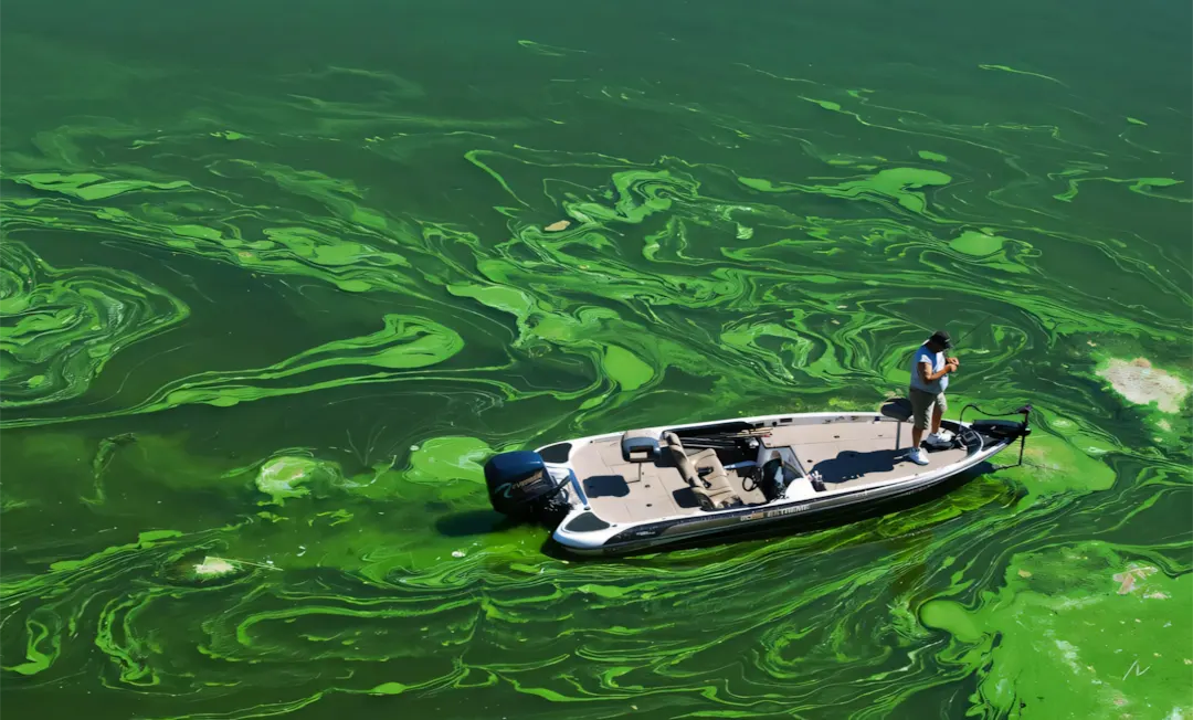 Hậu quả tiêu cực của ô nhiễm môi trường