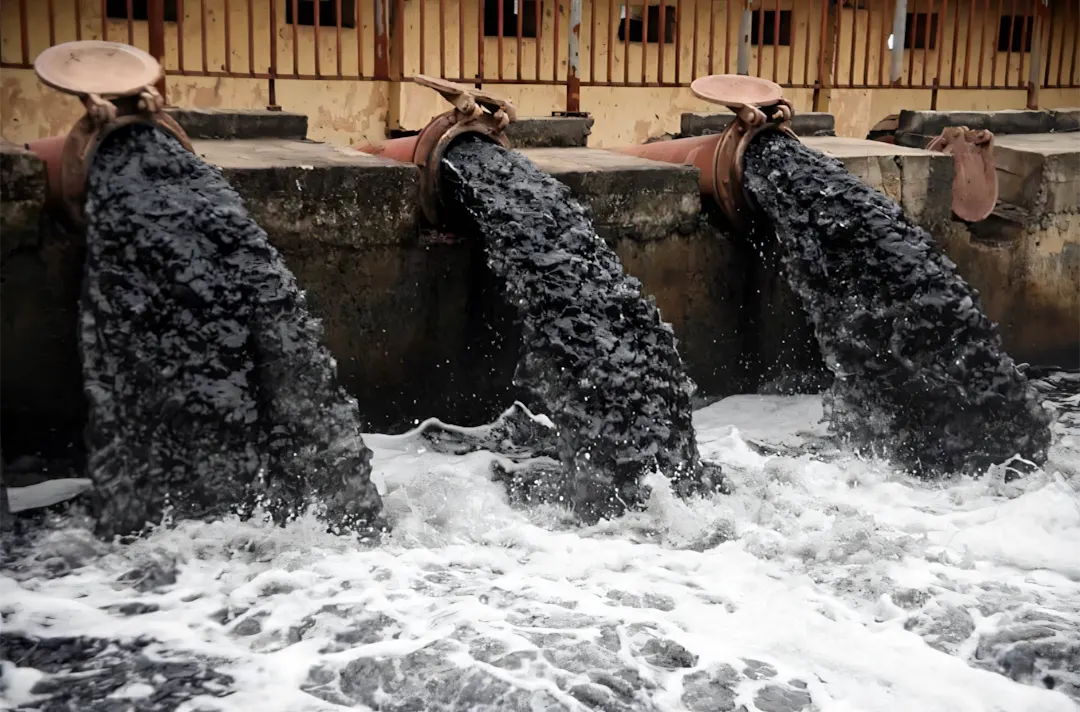 Nước thải chưa qua quy trình xử lý