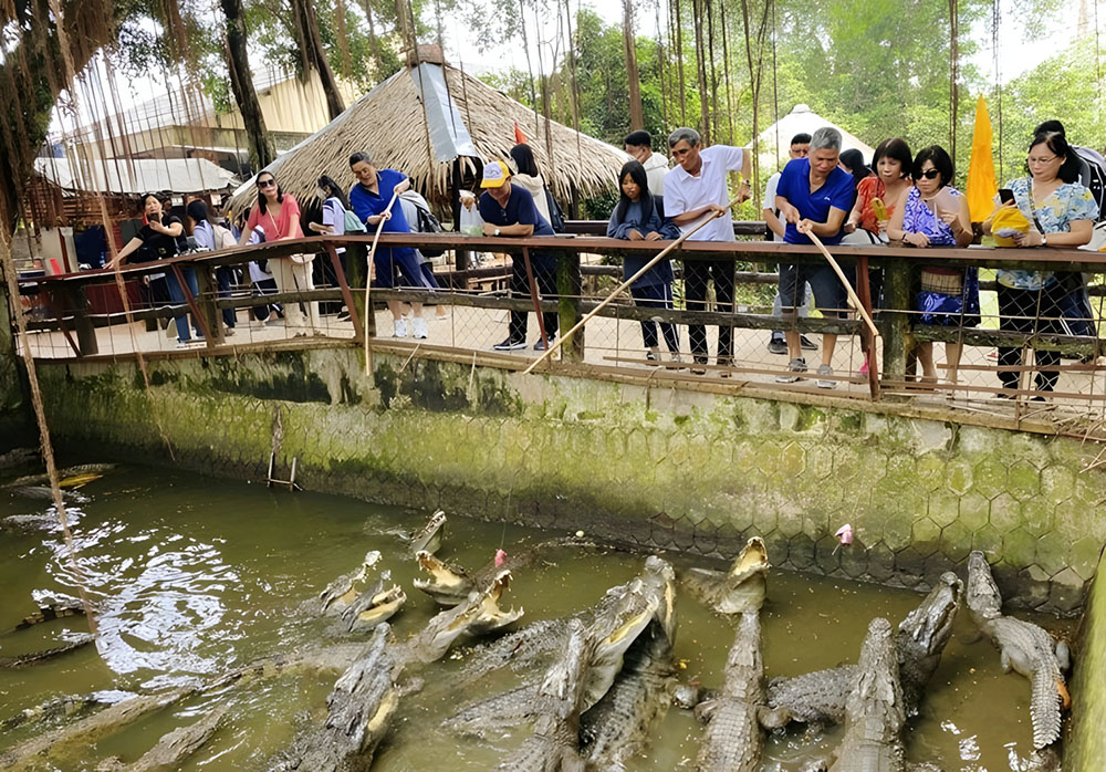 Đi xe ngựa/xuồng 3 lá 