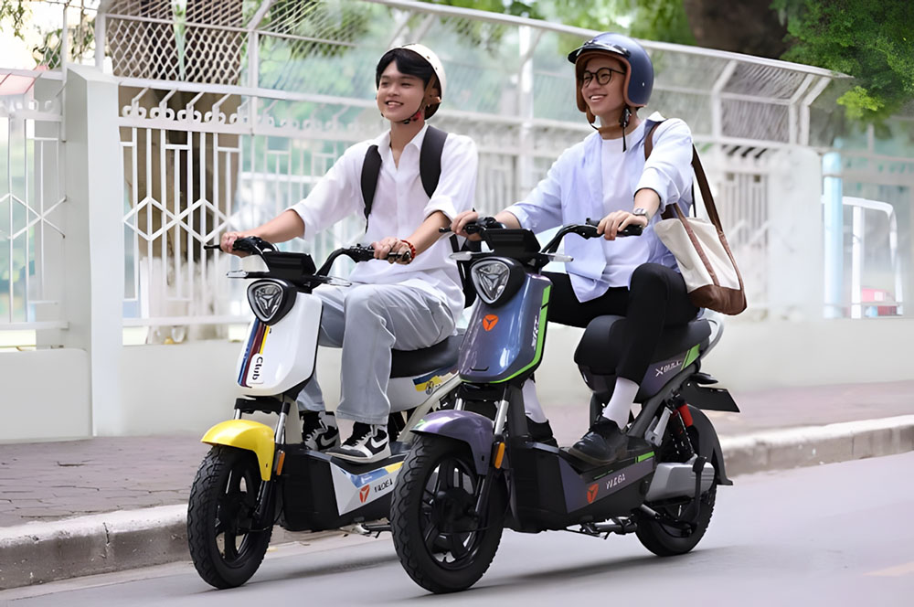 Dibao Tesla Chic